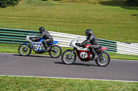 Vintage-motorcycle-club;eventdigitalimages;mallory-park;mallory-park-trackday-photographs;no-limits-trackdays;peter-wileman-photography;trackday-digital-images;trackday-photos;vmcc-festival-1000-bikes-photographs